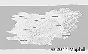 Gray Panoramic Map of Caras-Severin, single color outside