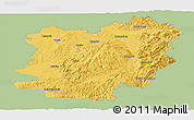 Savanna Style Panoramic Map of Caras-Severin, single color outside
