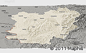 Shaded Relief Panoramic Map of Caras-Severin, darken, semi-desaturated