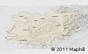 Shaded Relief Panoramic Map of Caras-Severin, lighten, desaturated