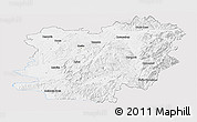 Silver Style Panoramic Map of Caras-Severin, single color outside