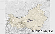 Shaded Relief 3D Map of Cluj, lighten, desaturated