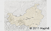 Shaded Relief 3D Map of Cluj, lighten, semi-desaturated