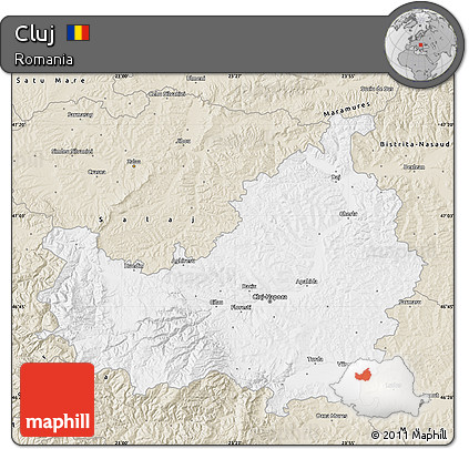 Classic Style Map of Cluj