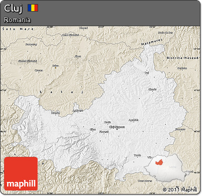 Classic Style Map of Cluj