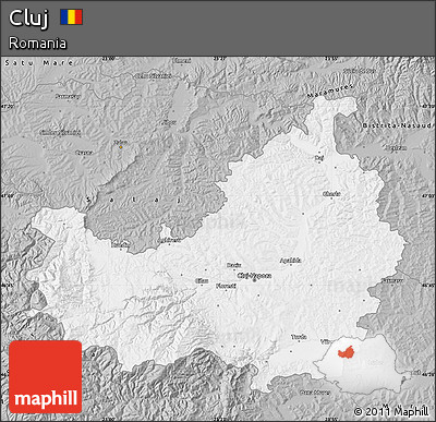 Gray Map of Cluj