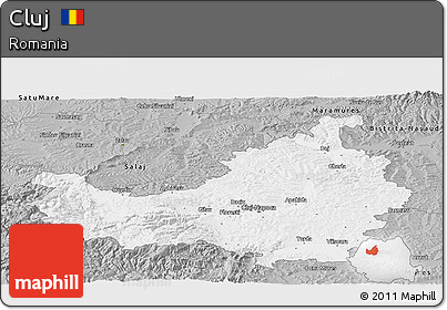 Gray Panoramic Map of Cluj