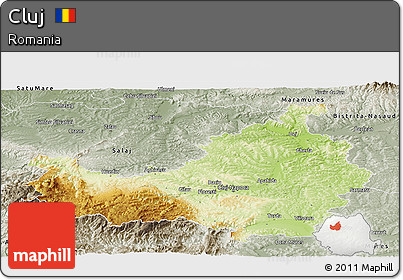 Physical Panoramic Map of Cluj, semi-desaturated