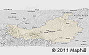Shaded Relief Panoramic Map of Cluj, desaturated