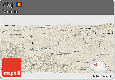 Shaded Relief Panoramic Map of Cluj