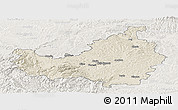 Shaded Relief Panoramic Map of Cluj, lighten
