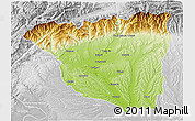 Physical 3D Map of Gorj, lighten, desaturated