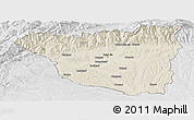 Shaded Relief Panoramic Map of Gorj, lighten, desaturated