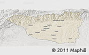 Shaded Relief Panoramic Map of Gorj, lighten, semi-desaturated