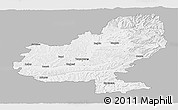 Gray Panoramic Map of Mures, single color outside