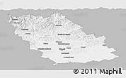 Gray Panoramic Map of Prahova, single color outside