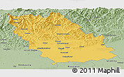 Savanna Style Panoramic Map of Prahova