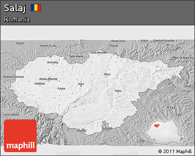 Gray 3D Map of Salaj