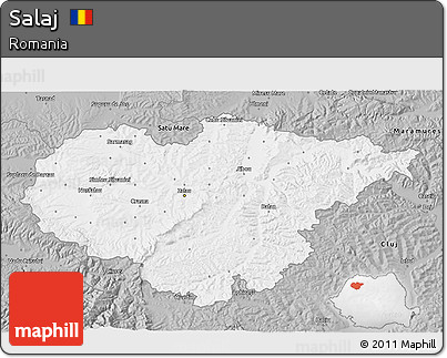 Gray 3D Map of Salaj