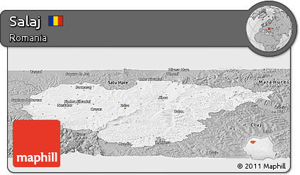 Gray Panoramic Map of Salaj