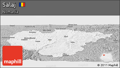 Gray Panoramic Map of Salaj