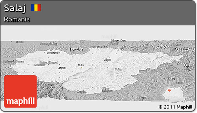 Gray Panoramic Map of Salaj