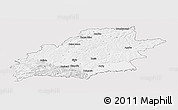 Silver Style Panoramic Map of Sibiu, single color outside