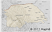 Shaded Relief 3D Map of Suceava, desaturated