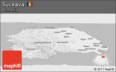 Gray Panoramic Map of Suceava, single color outside