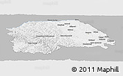 Gray Panoramic Map of Suceava, single color outside