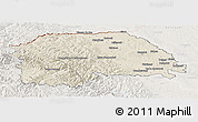 Shaded Relief Panoramic Map of Suceava, lighten