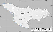 Gray Map of Timis, single color outside