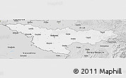 Silver Style Panoramic Map of Timis