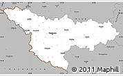 Gray Simple Map of Timis