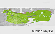 Physical Panoramic Map of Tulcea, lighten, desaturated