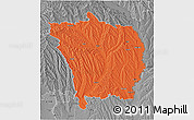 Political 3D Map of Vaslui, desaturated