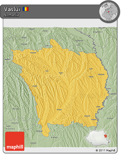 Savanna Style 3D Map of Vaslui