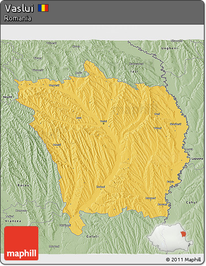 Savanna Style 3D Map of Vaslui