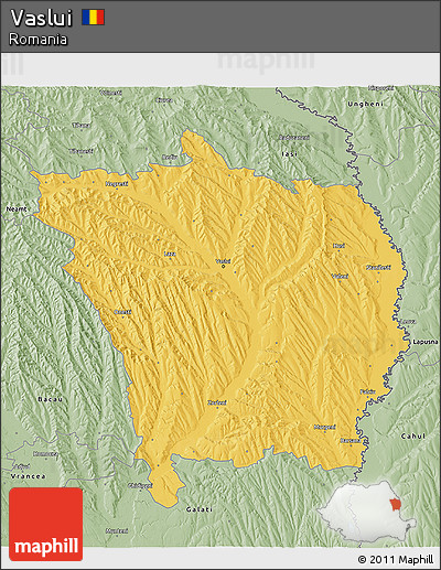 Savanna Style 3D Map of Vaslui