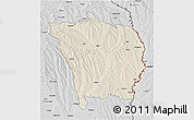Shaded Relief 3D Map of Vaslui, desaturated