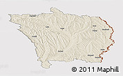 Shaded Relief Panoramic Map of Vaslui, cropped outside