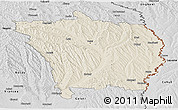 Shaded Relief Panoramic Map of Vaslui, desaturated