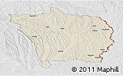 Shaded Relief Panoramic Map of Vaslui, lighten, desaturated