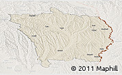 Shaded Relief Panoramic Map of Vaslui, lighten