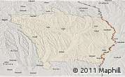 Shaded Relief Panoramic Map of Vaslui, semi-desaturated