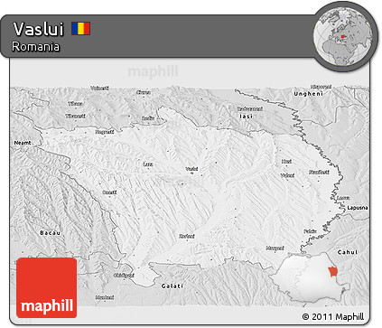 Silver Style Panoramic Map of Vaslui