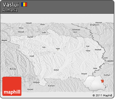 Silver Style Panoramic Map of Vaslui