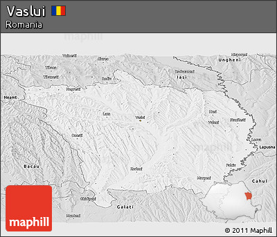 Silver Style Panoramic Map of Vaslui