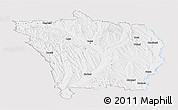 Silver Style Panoramic Map of Vaslui, single color outside
