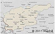 Shaded Relief 3D Map of Central, desaturated